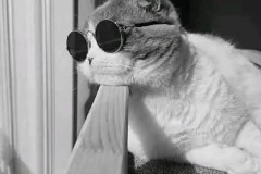 英超焦点战：西汉姆联头球绝杀水晶宫，精彩回顾